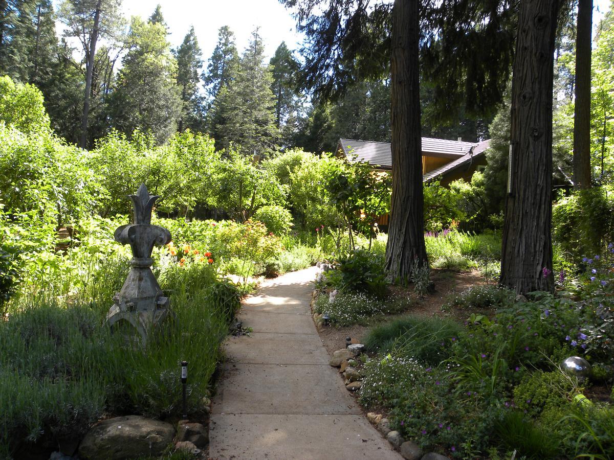 Harmony Ridge Lodge Nevada City Exterior foto